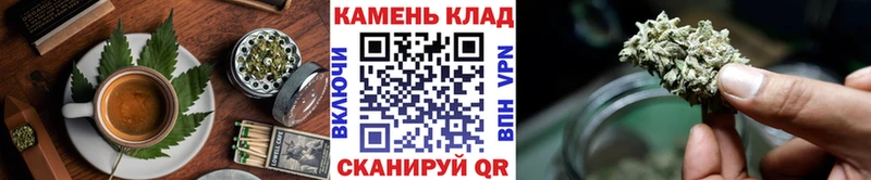 Купить  Жуков  Canna-Cookies марихуана 
