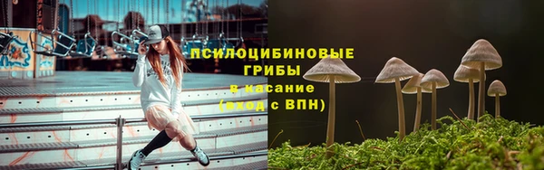 соль ск Балахна
