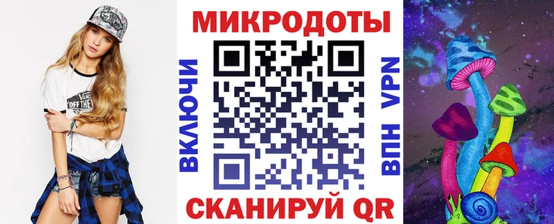 Псилоцибиновые грибы Psilocybe  Купить закладки  Жуков 