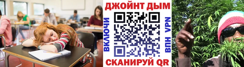 Шишки марихуана сатива  Купить закладки  Жуков 